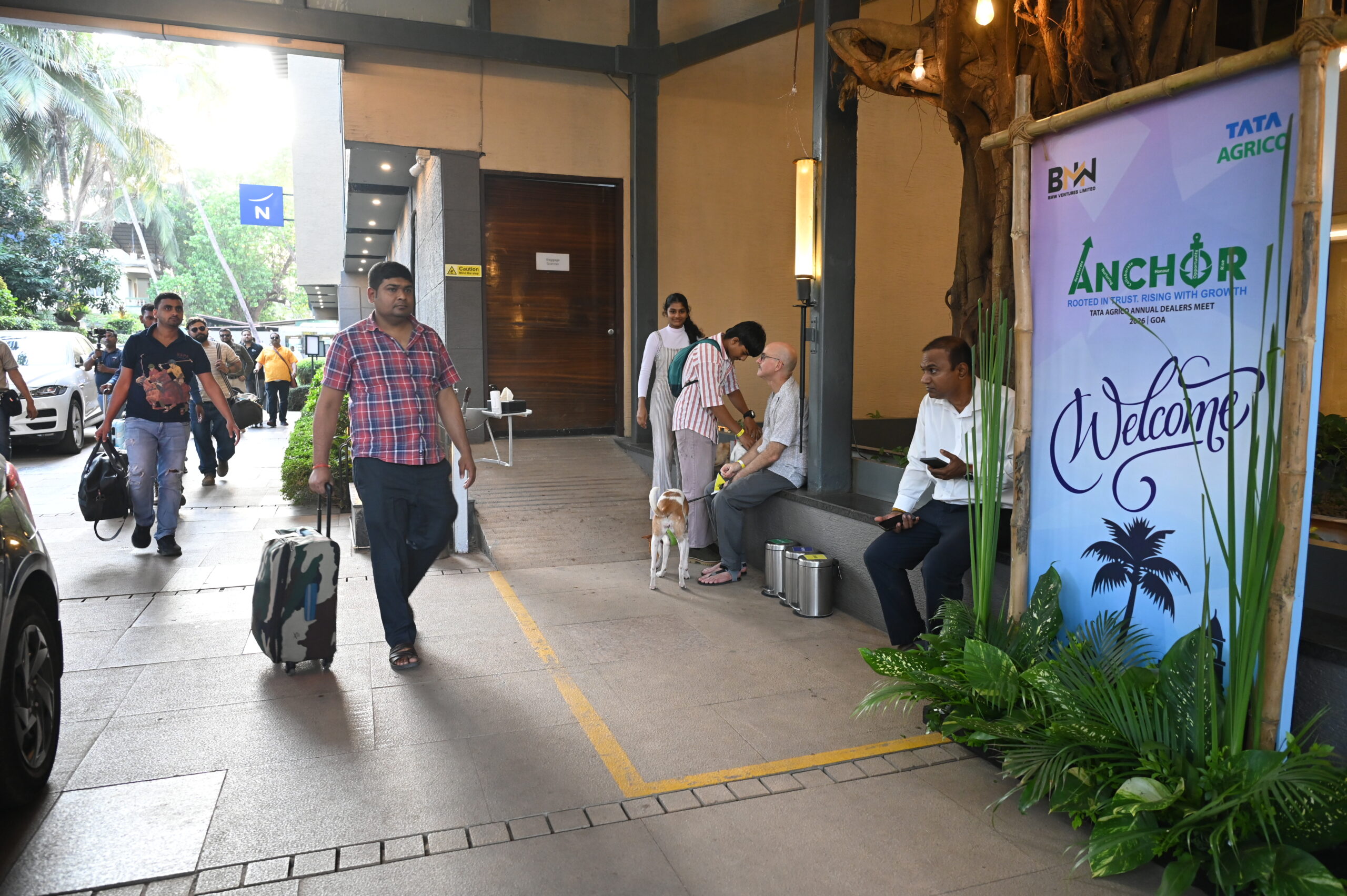 Our Gallery dsc 6180